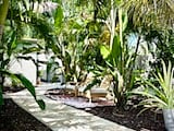 Enjoy the Fully Shaded Grove of Palm Trees