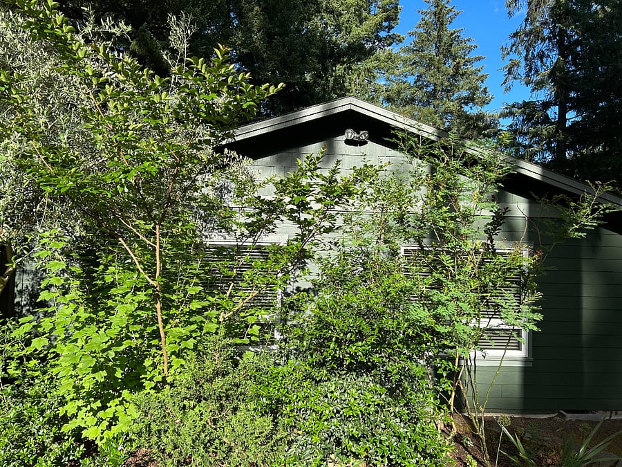 Furnished Finder property 1011104_1 photo 3
