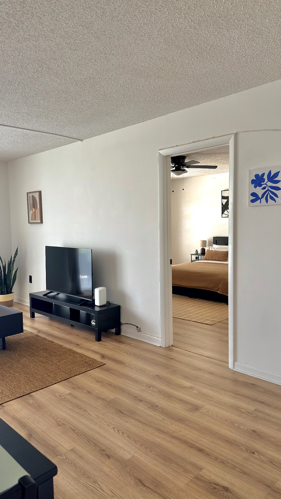 Furnished Finder property 1011248_1 photo 21