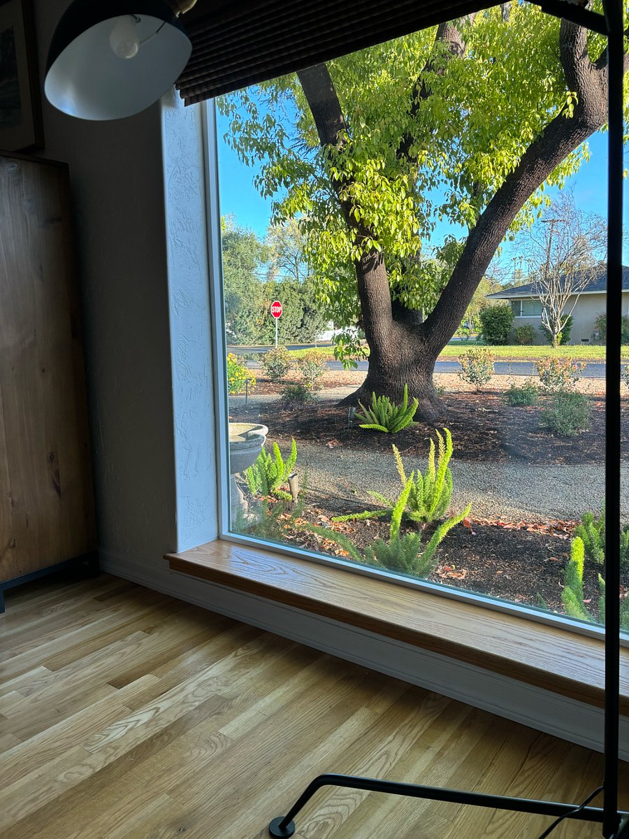 Front room window view