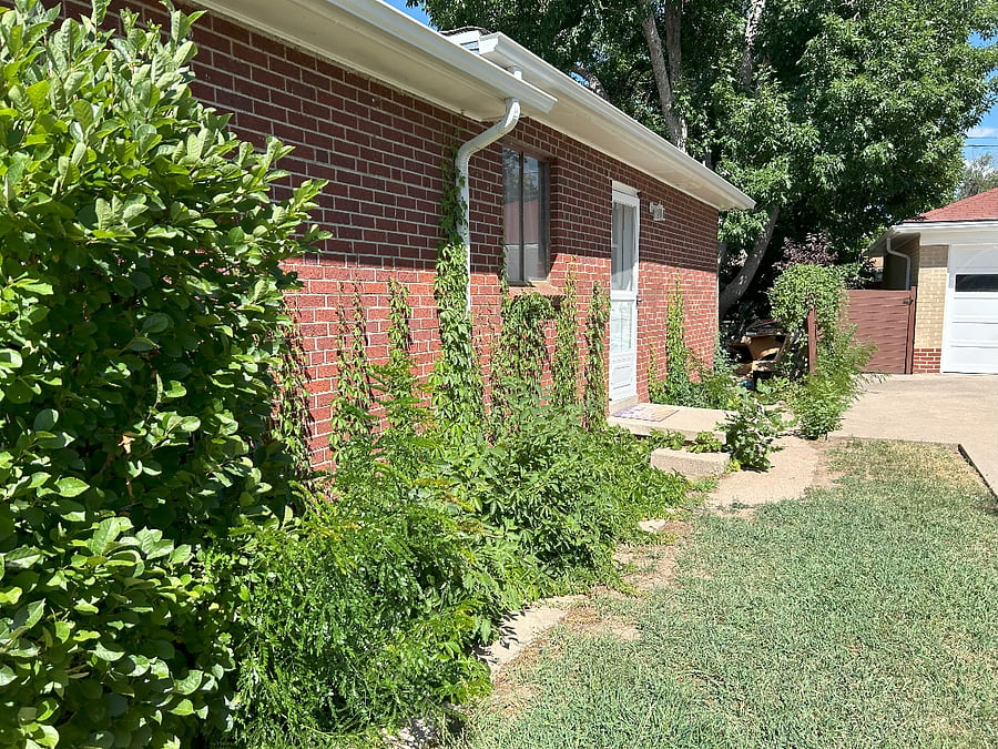 Side entrance