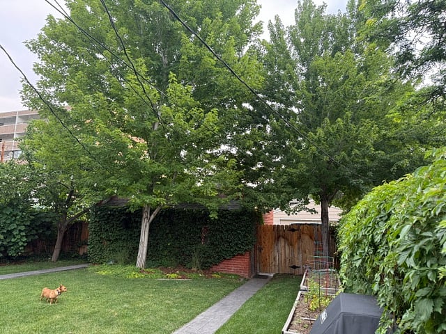 Furnished Finder property 1011310_1 photo 19