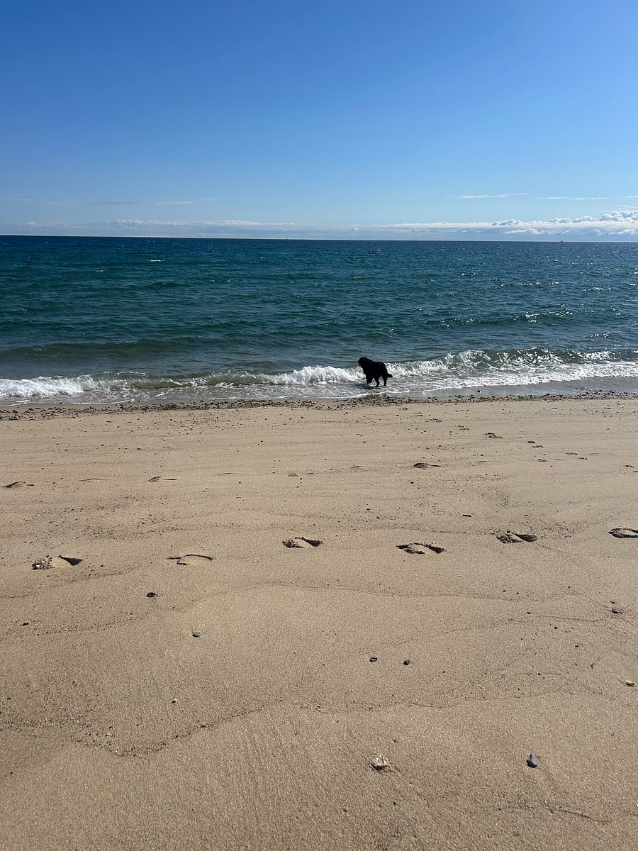 private beach- pet friendly!