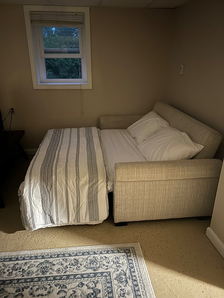 pull out sofa in basement