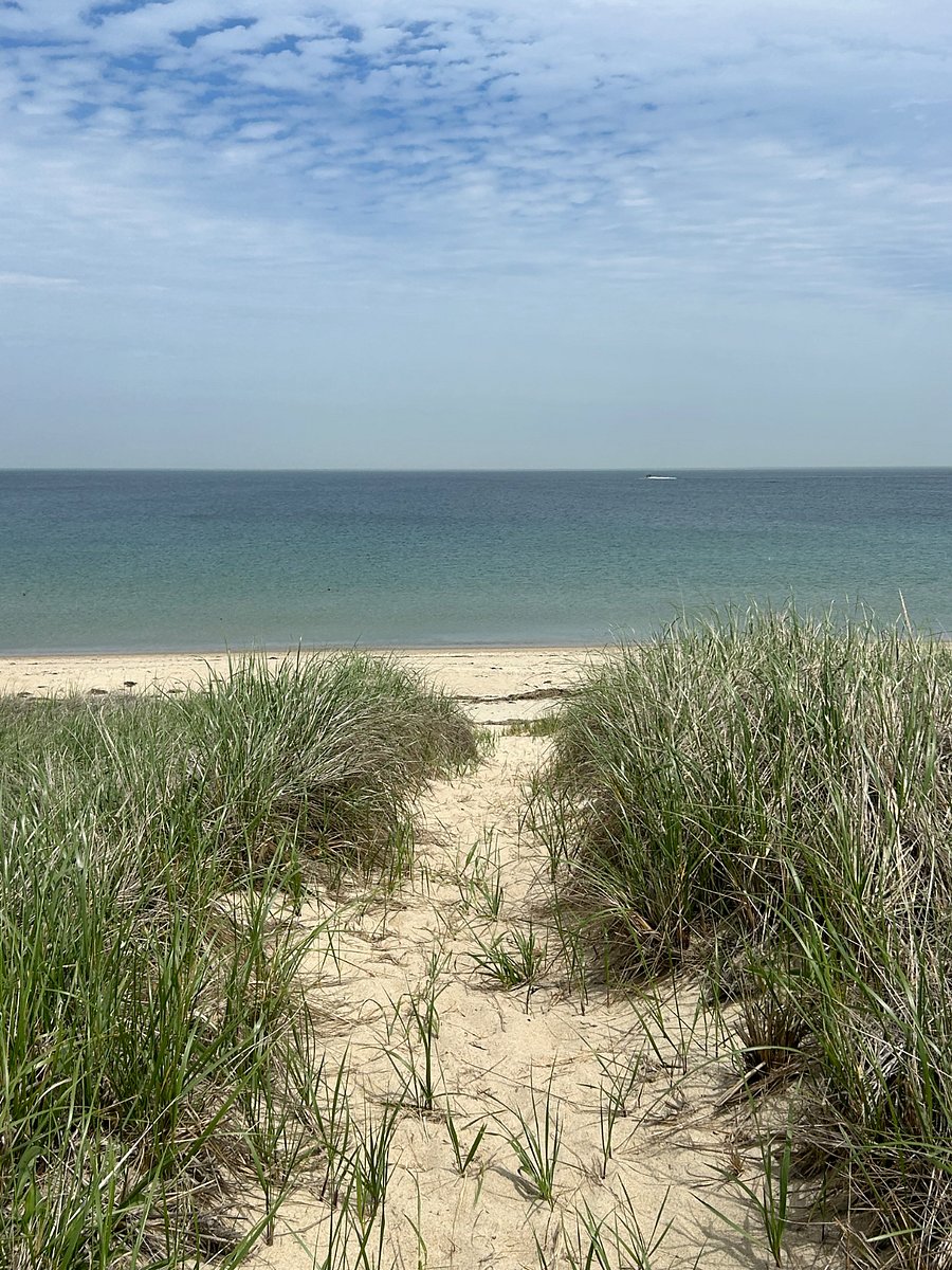 beach path leading to dog friendly private beach