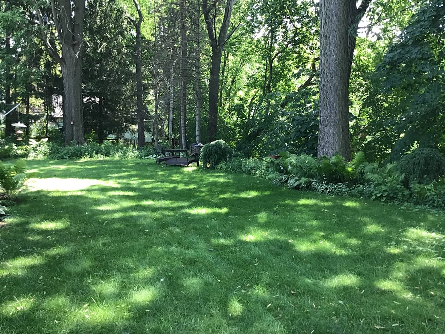 Furnished Finder property 1011359_1 photo 13