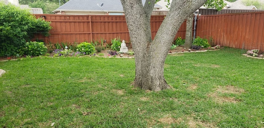 Furnished Finder property 1011399_1 photo 6