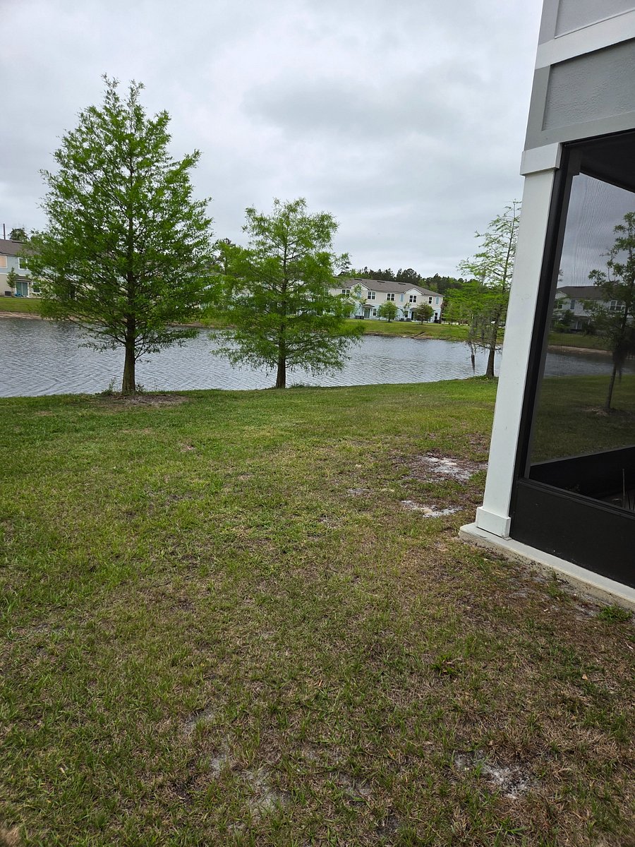 Furnished Finder property 1011461_1 photo 3