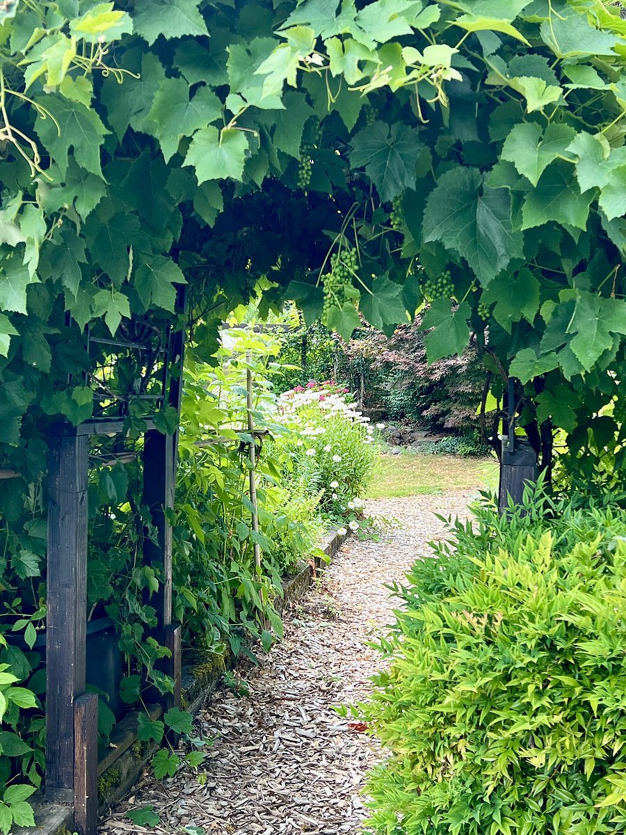 U-pick gardens with seasonal grapes, raspberries, blackberries, strawberries, apples, cherries, tomatoes, winter squash etc.
