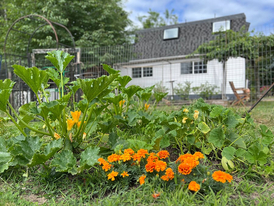 U-pick gardens onsite with seasonal veggies and fruit