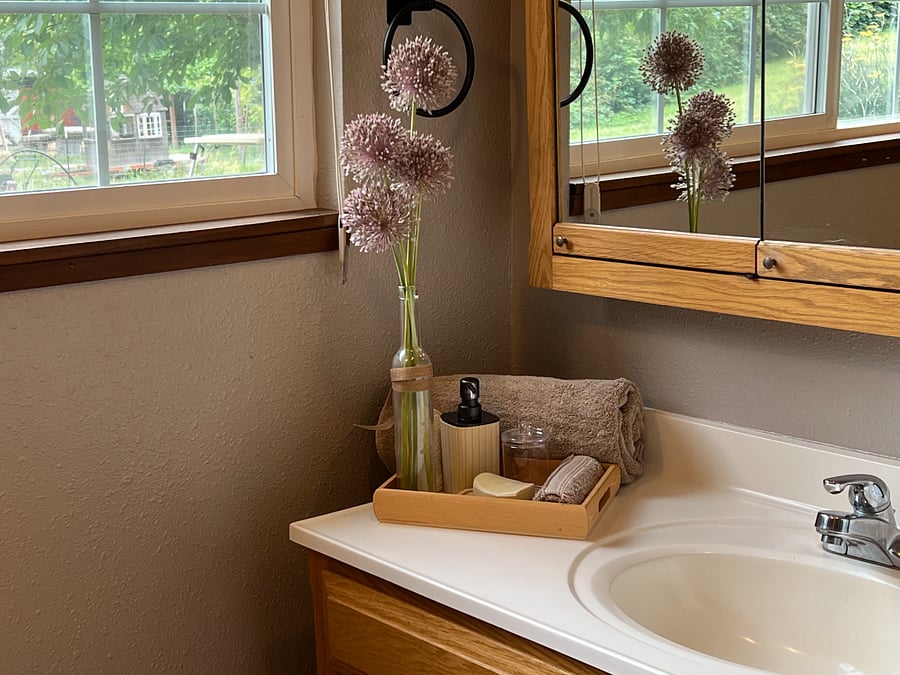 Amazing daylight bathroom with garden view