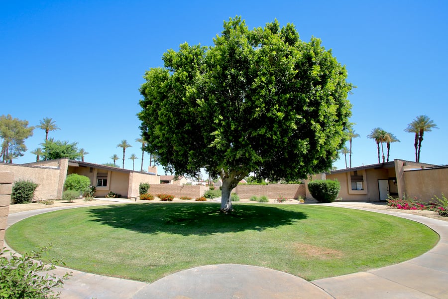 Furnished Finder property 1011493_1 photo 52