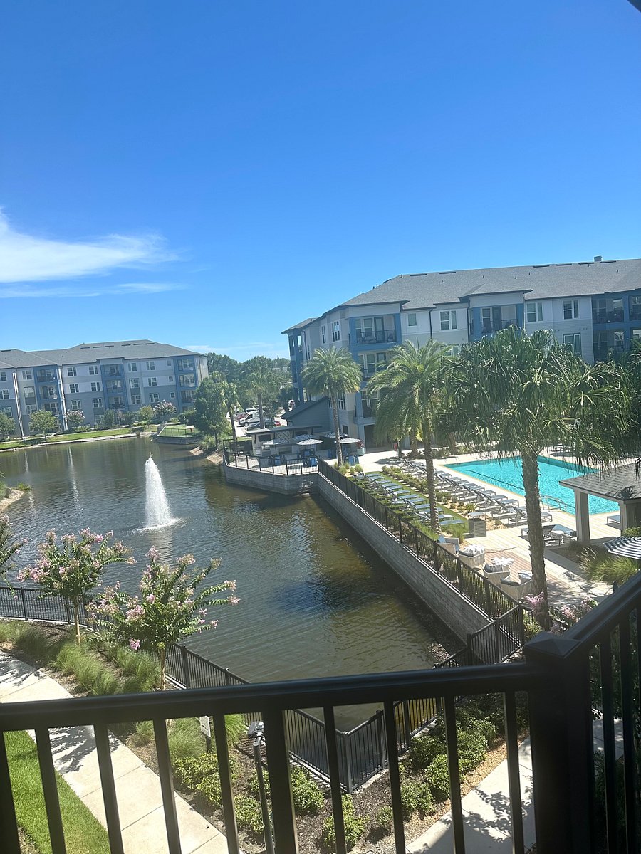 Furnished Finder property 1011522_1 photo 16