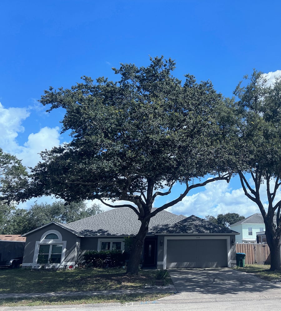 Furnished Finder property 1011592_1 photo 12