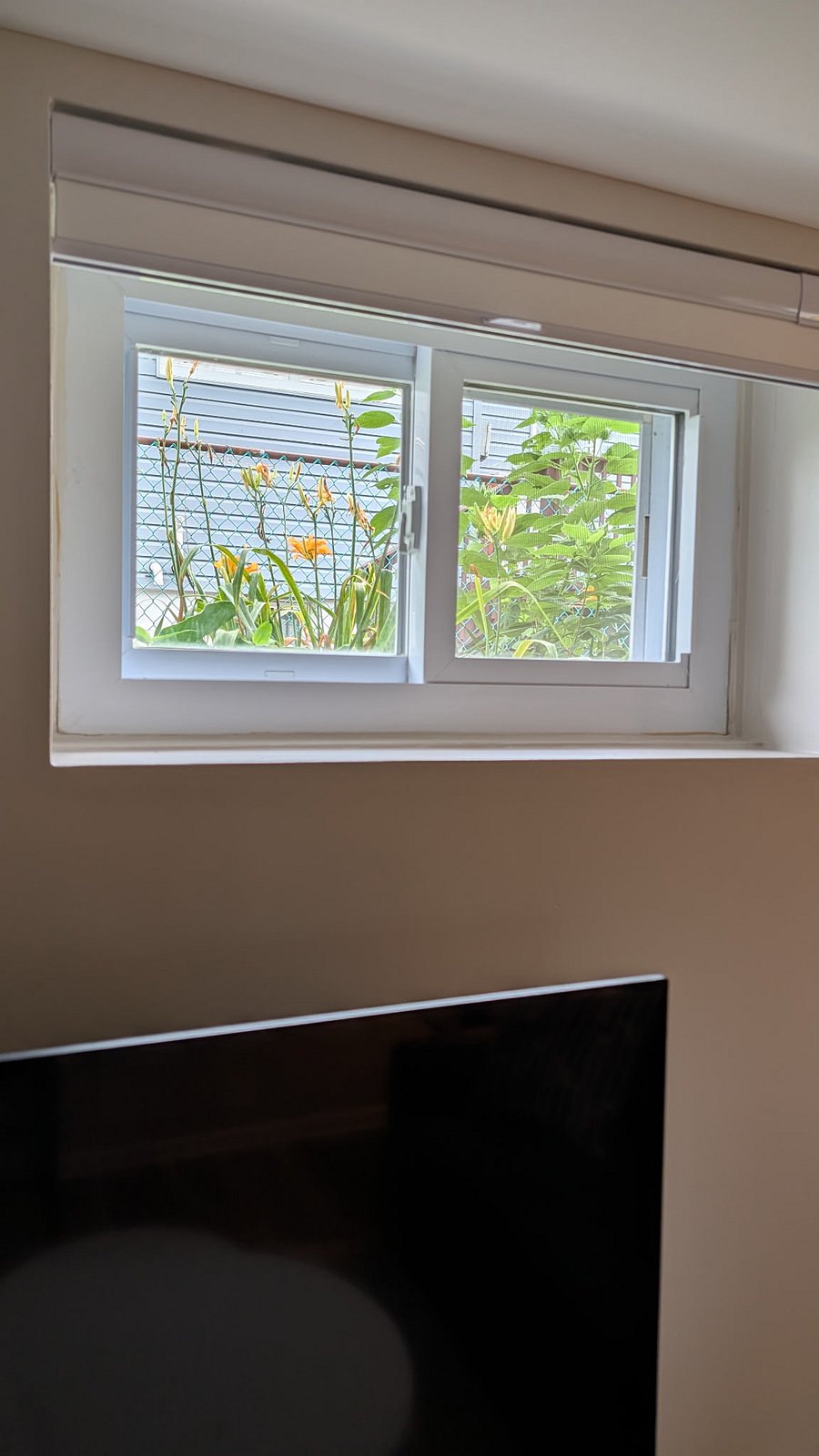 Furnished Finder property 1011605_1 photo 7
