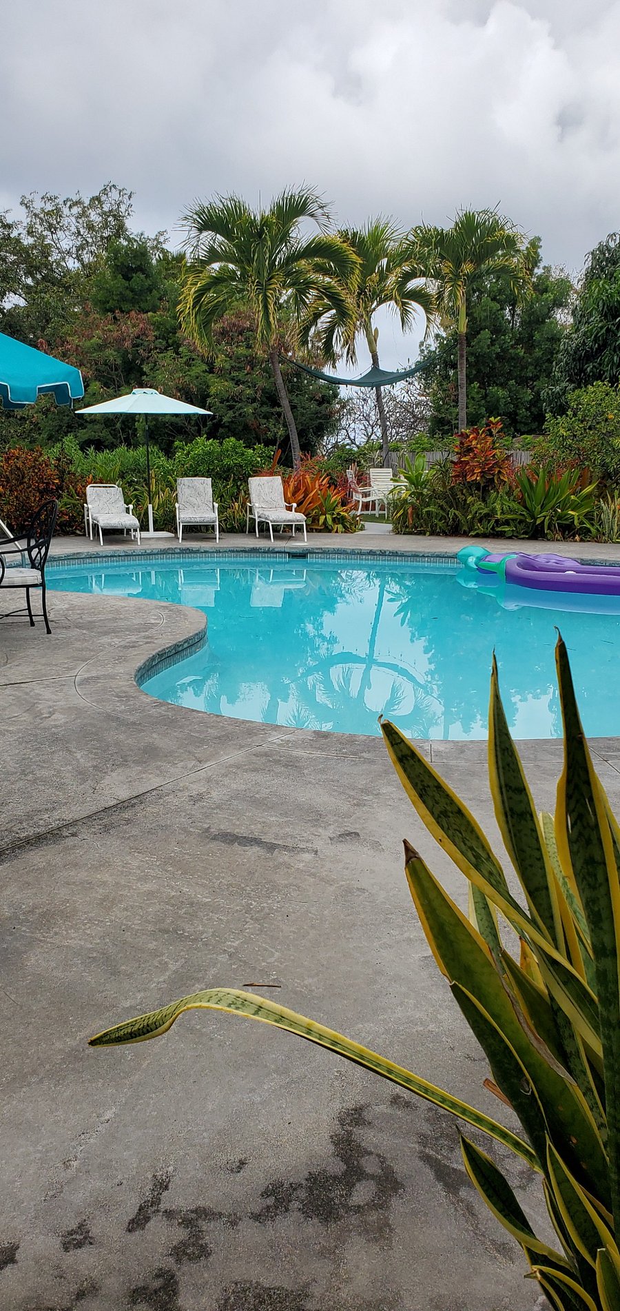 Furnished Finder property 1011607_1 photo 7
