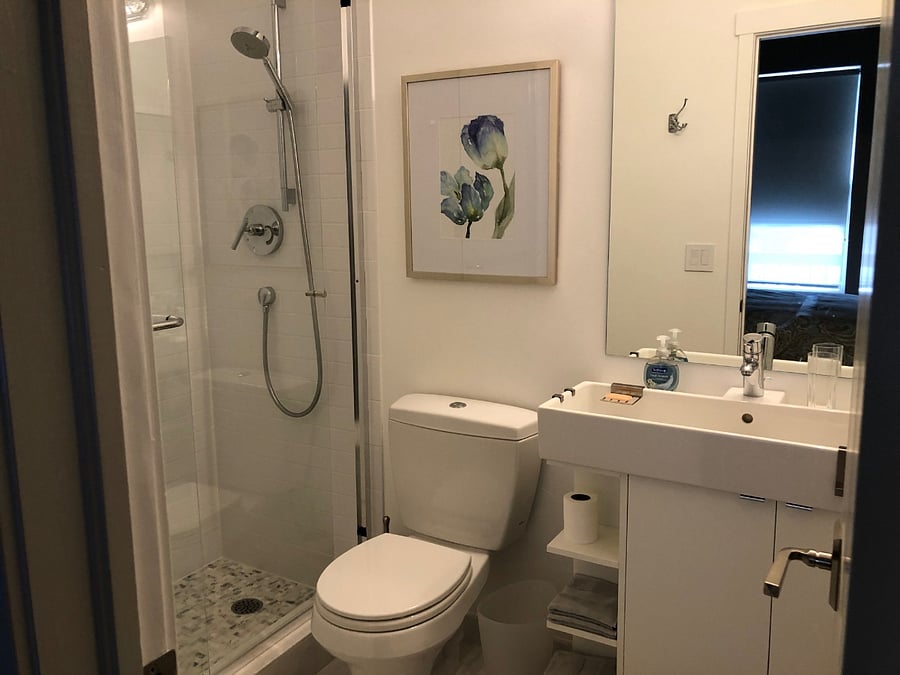 Guest bedroom bathroom with shower, sink and toilet