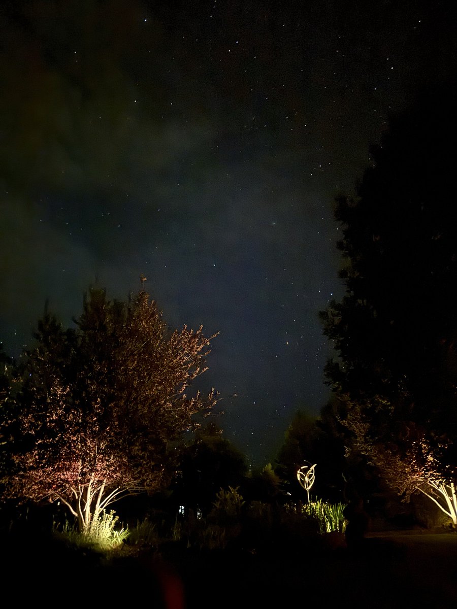 Beautiful skies at night