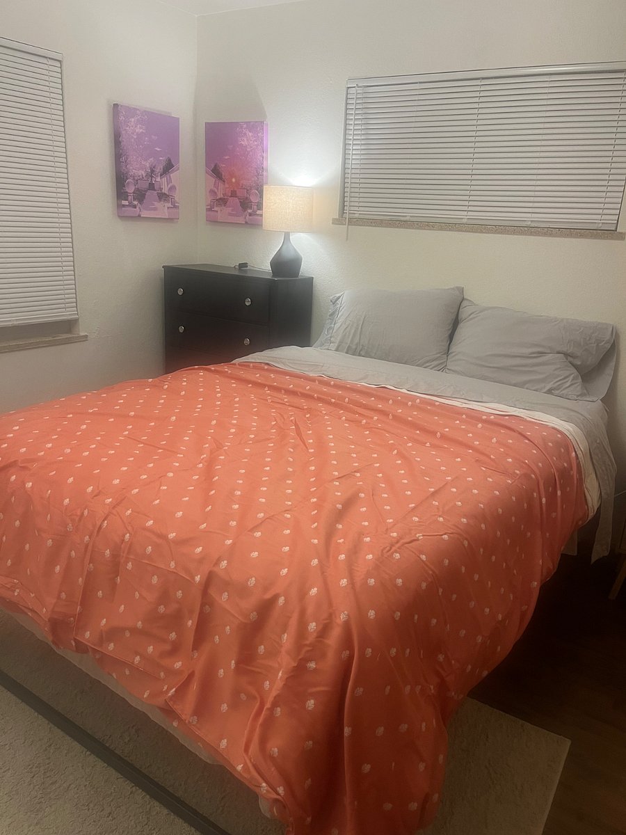 Furnished Finder property 1011630_1 photo 10