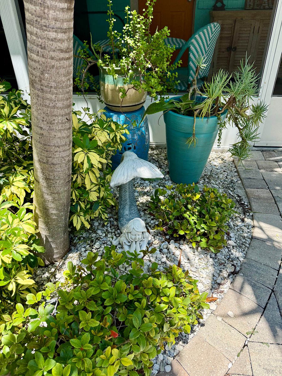 Furnished Finder property 1011779_1 photo 19