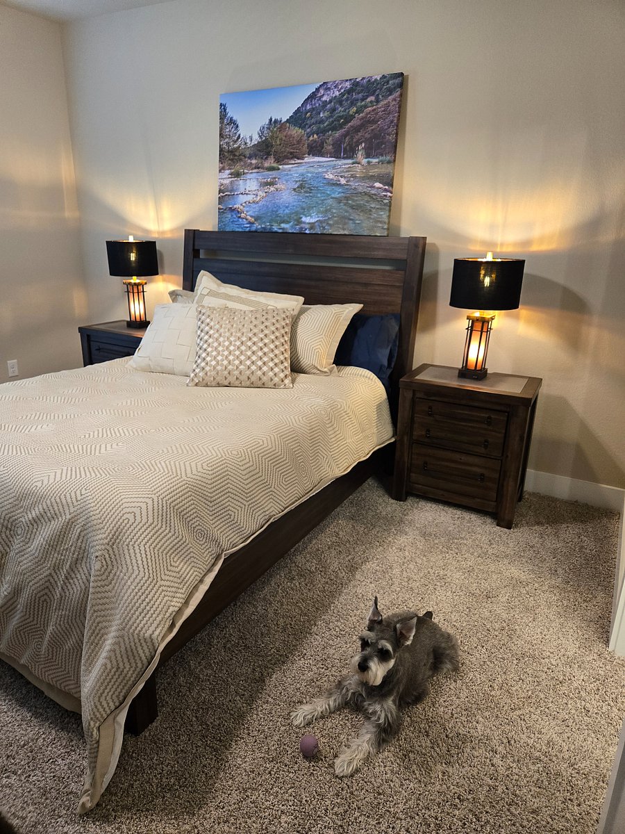 Furnished Finder property 1011798_1 photo 7