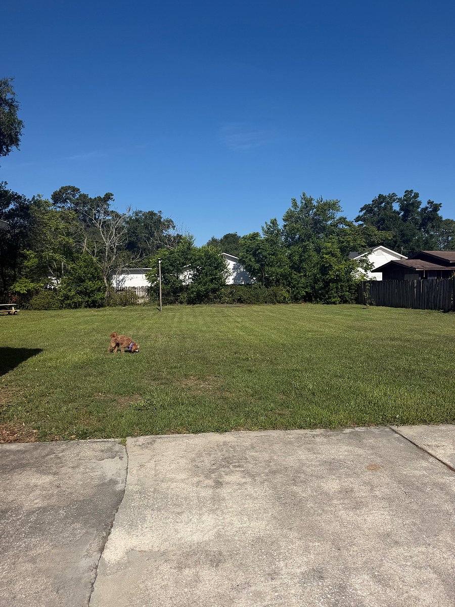 Furnished Finder property 1011814_1 photo 12