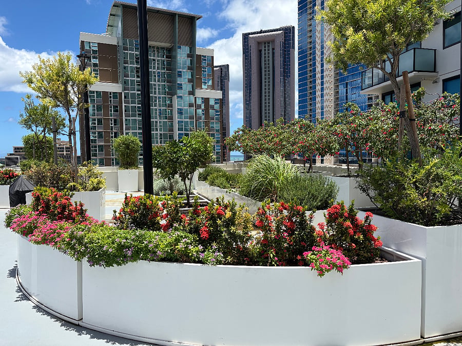 Rec Deck Herb Garden