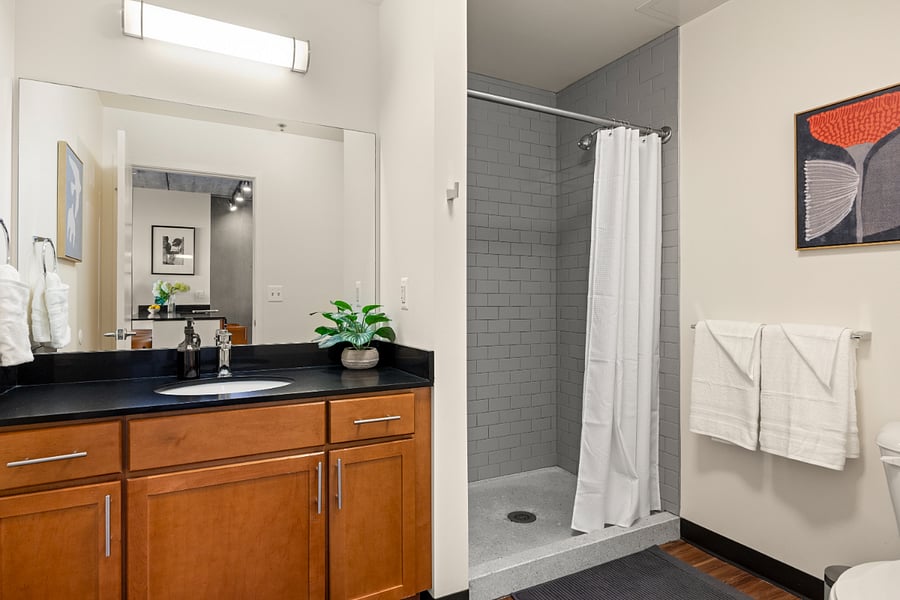 Furnished Finder property 1011960_1 photo 7