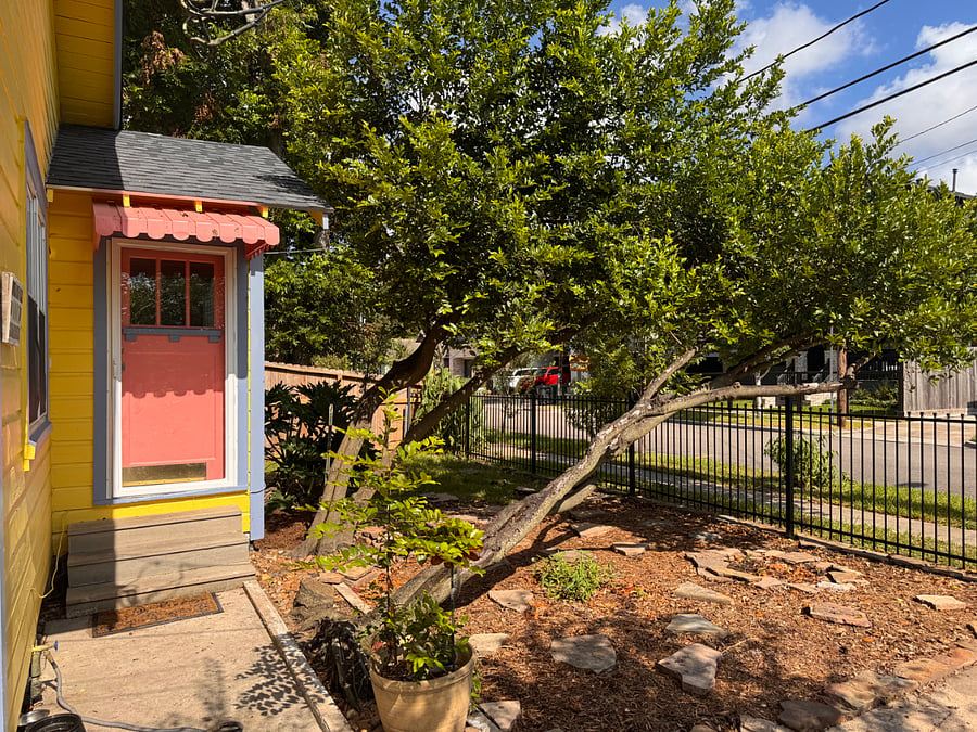 Front door entry.  Yes, thats a leaning tree that has been checked by an arborist for stability.  It provides shade for the yard and sidewalk and we love its individuality.  Just watch your head.