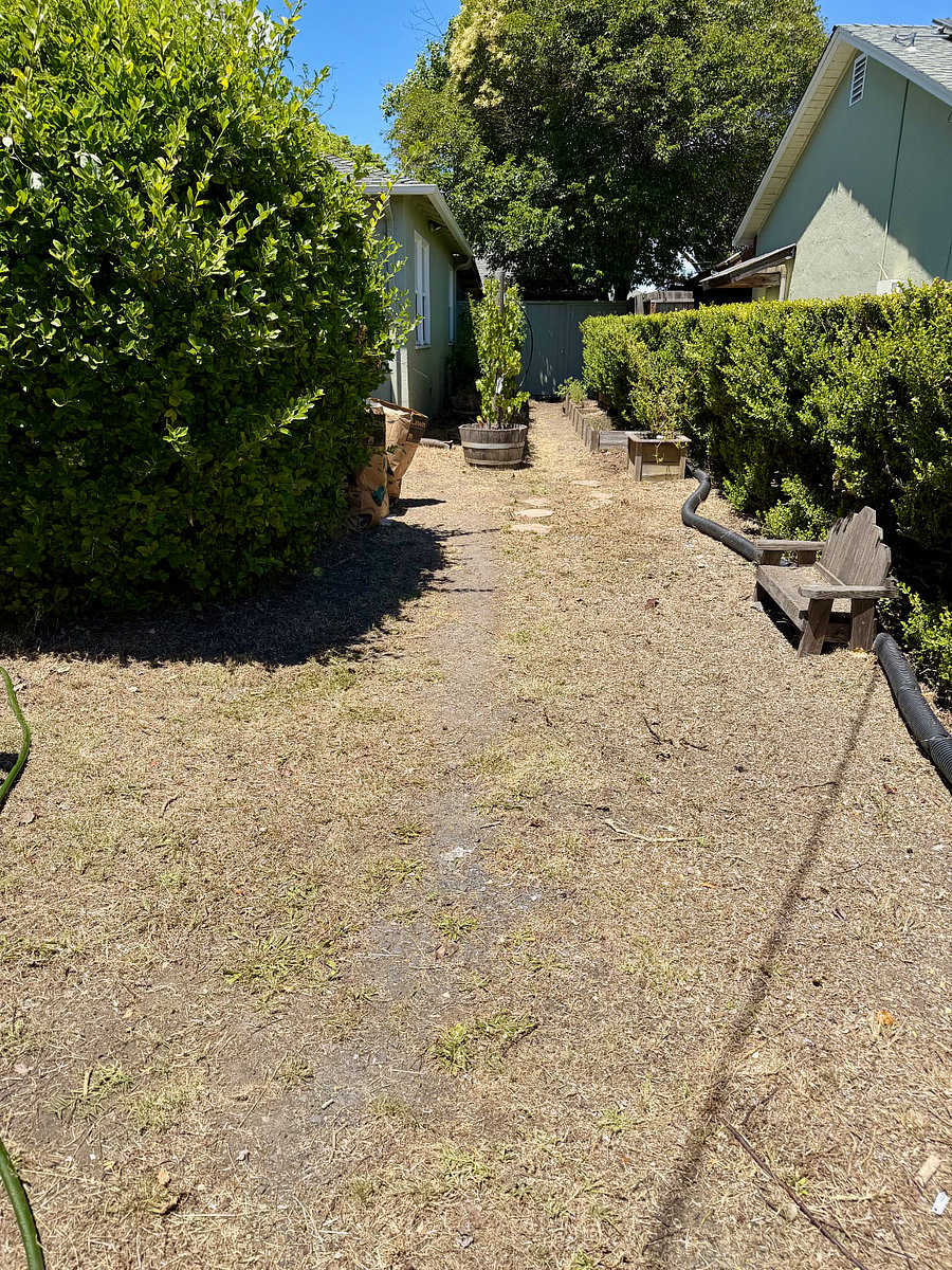 Private driveway/walkway to house