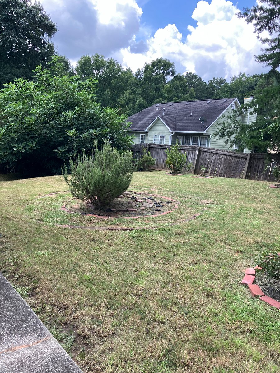 Back yard