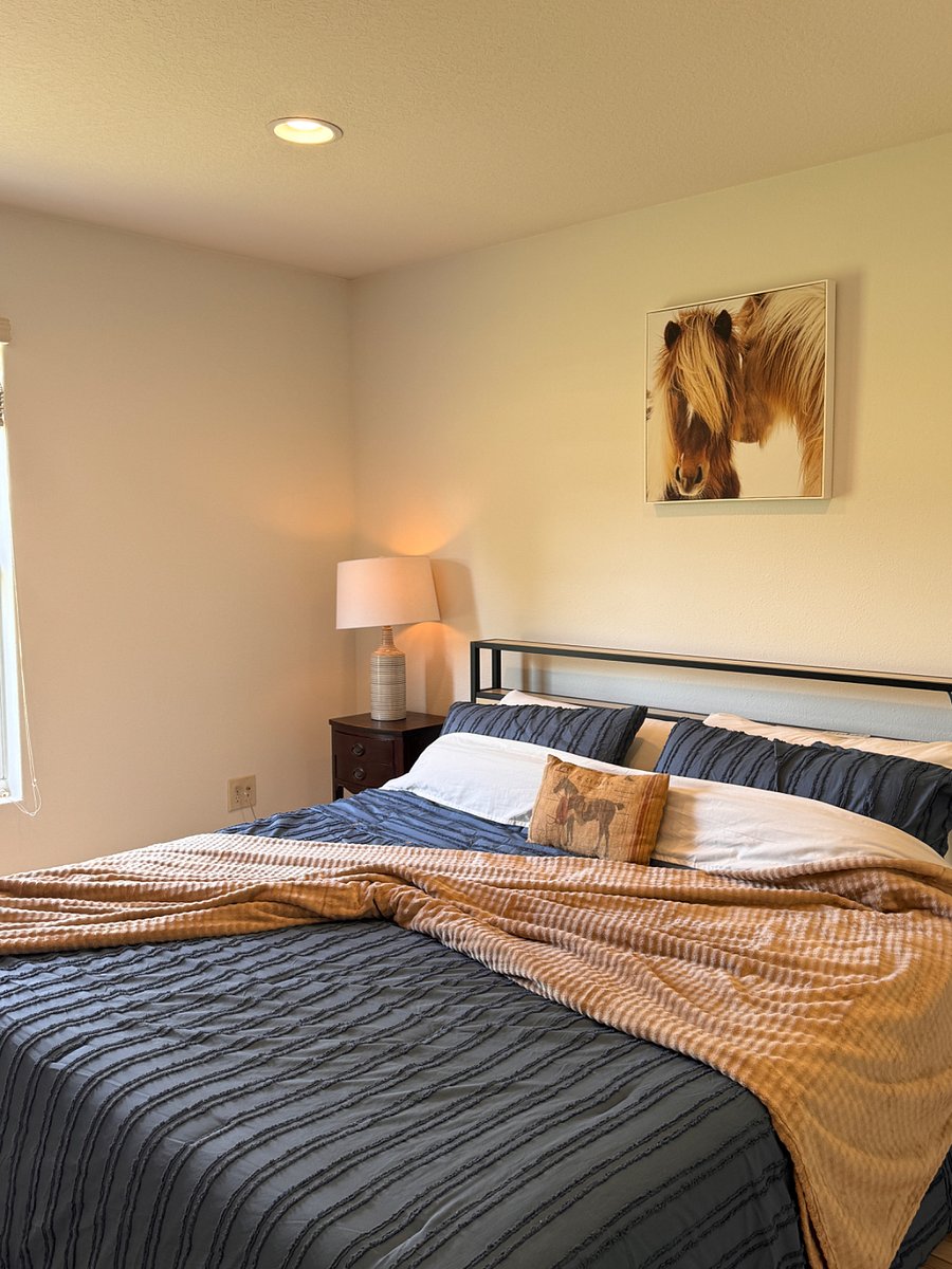 Furnished Finder property 1012026_1 photo 17