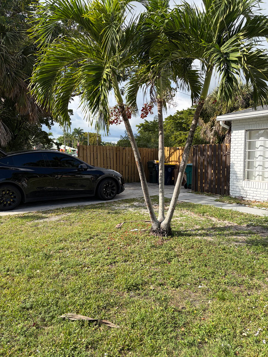Furnished Finder property 1012061_1 photo 10