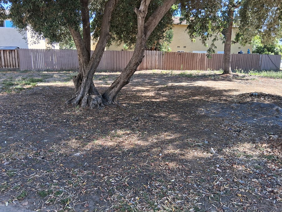 Furnished Finder property 1012169_1 photo 7