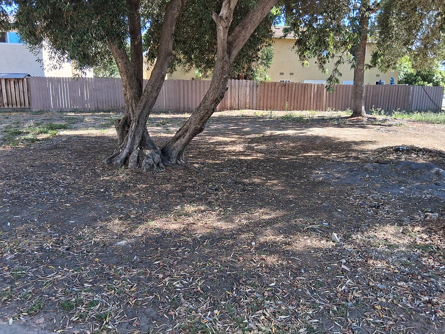 Furnished Finder property 1012169_1 photo 18
