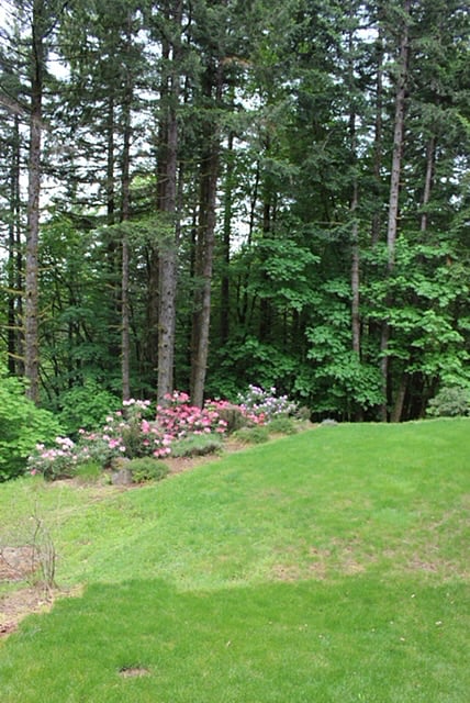 Furnished Finder property 1012219_1 photo 3