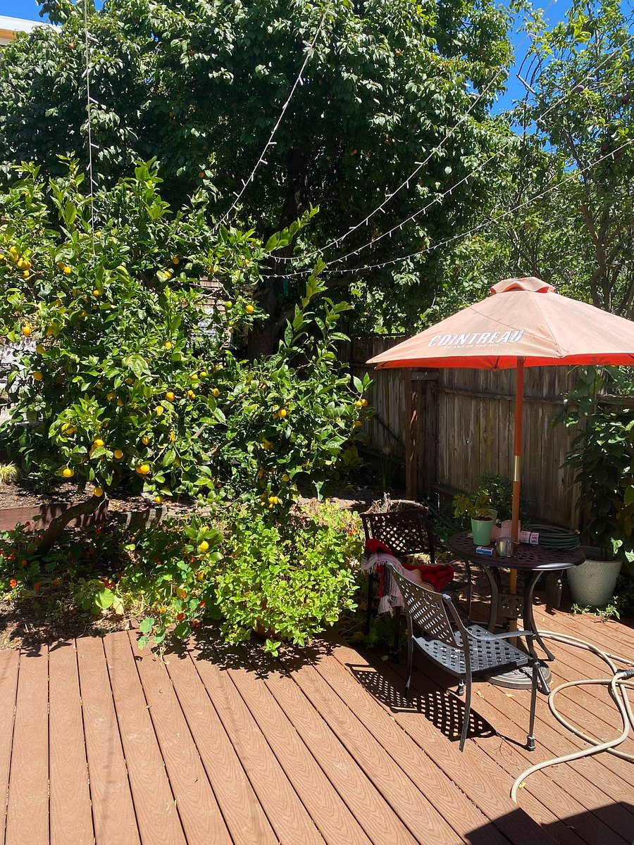 Furnished Finder property 1012280_1 photo 23