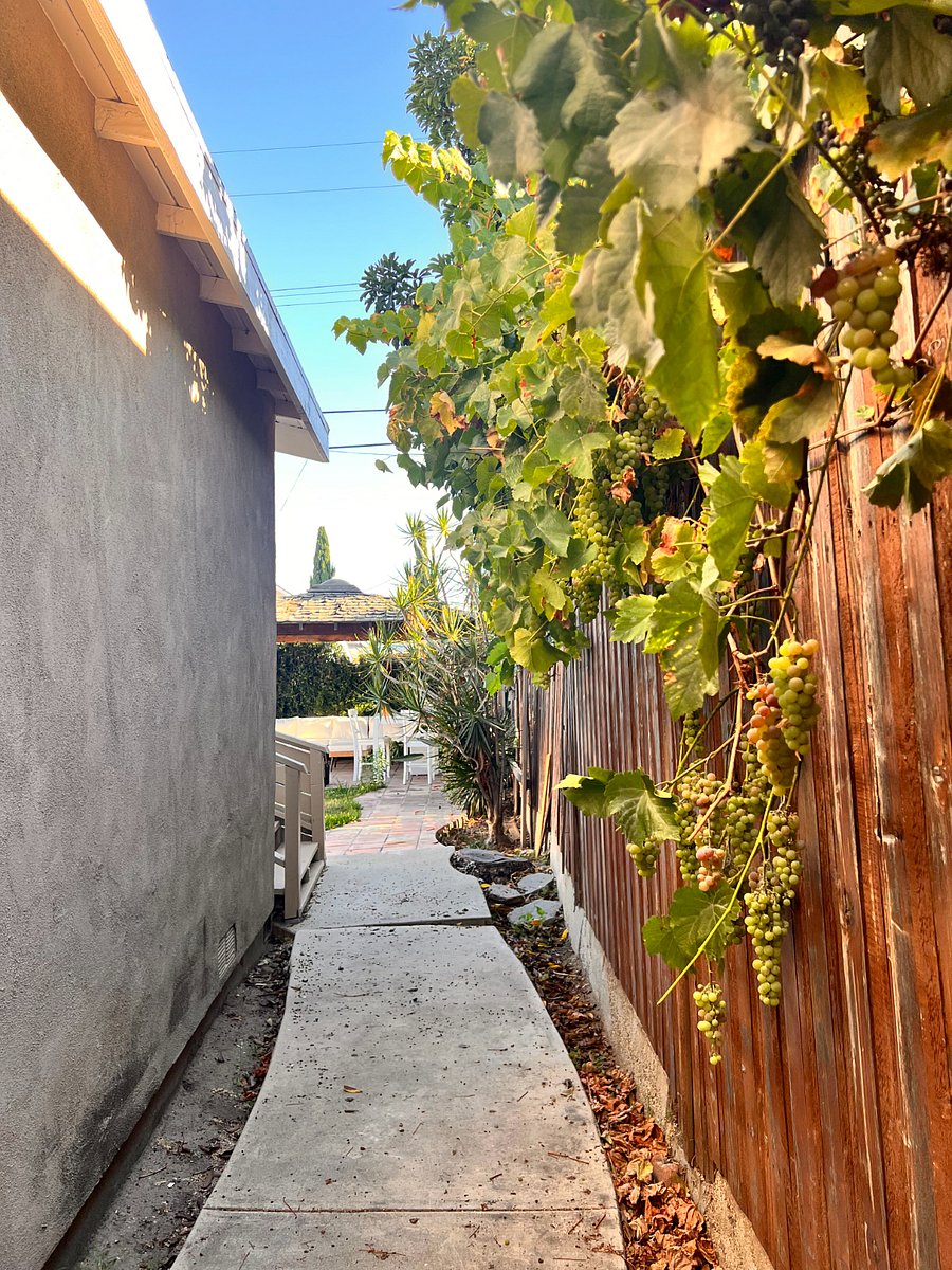 Furnished Finder property 1012281_1 photo 12