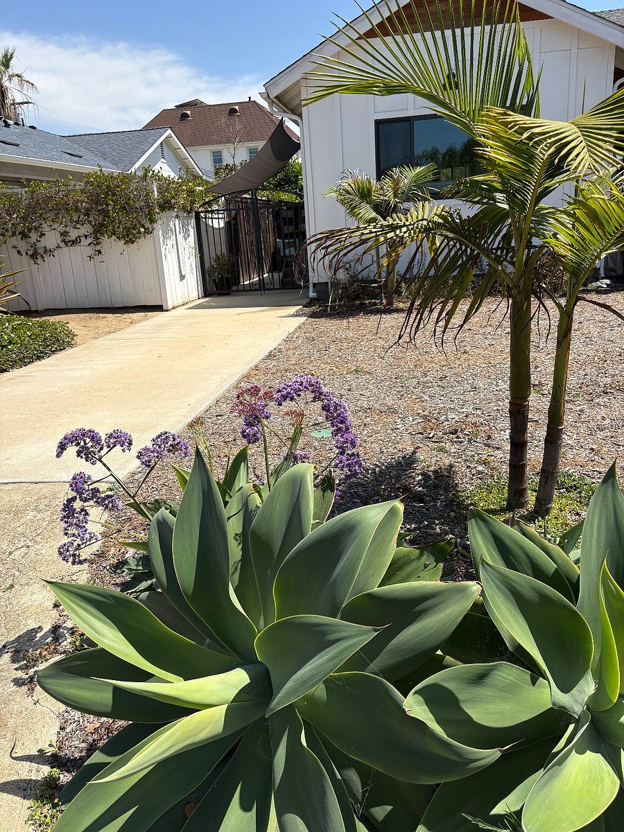 Furnished Finder property 1012389_1 photo 3
