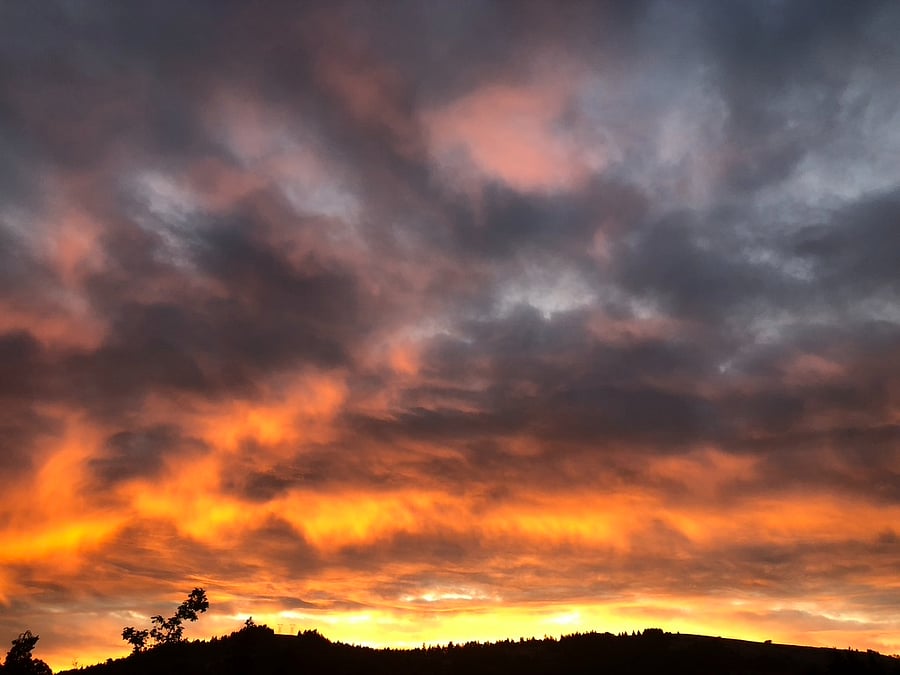 Sunrise over Mt. Pisgah. I have seen 24 years of the most spectacular sunrises in my life.