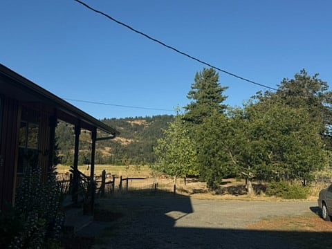 View from computer table to the east across driveway...