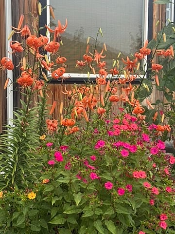 Flower garden to east of house.