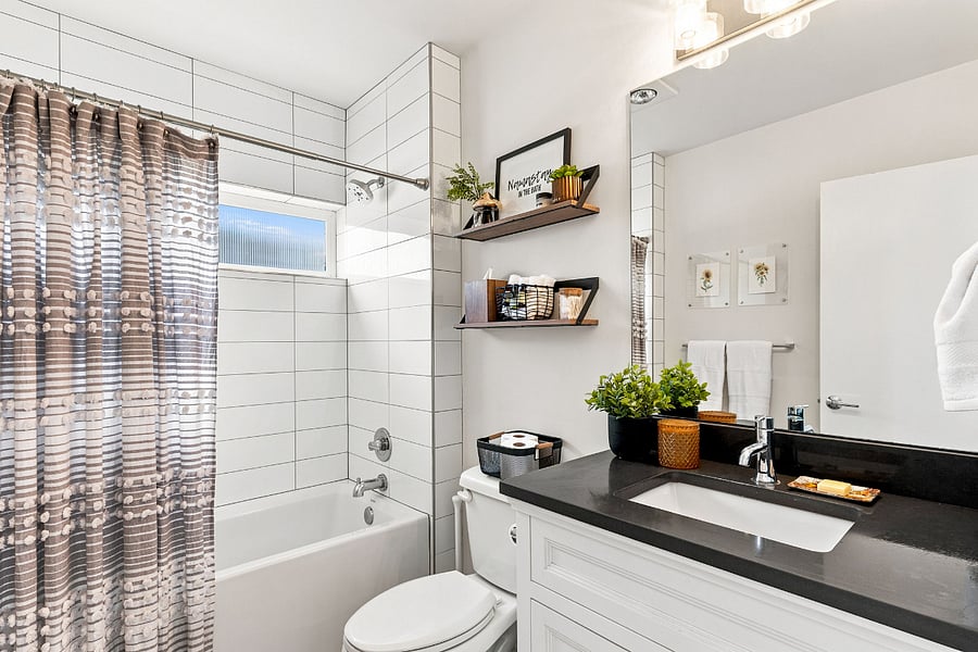Lower Level Bathroom