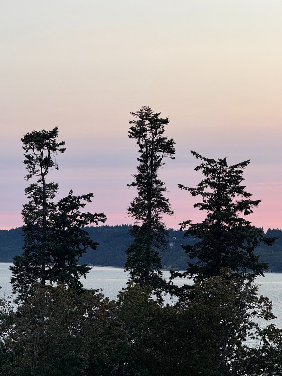 Where the Eagles like to Nest