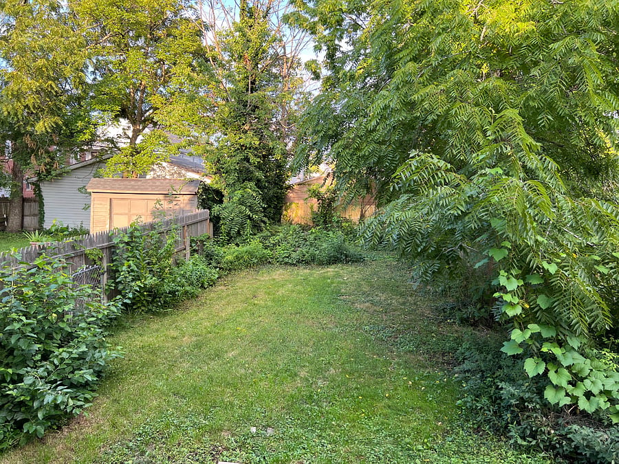 Furnished Finder property 1012404_1 photo 25