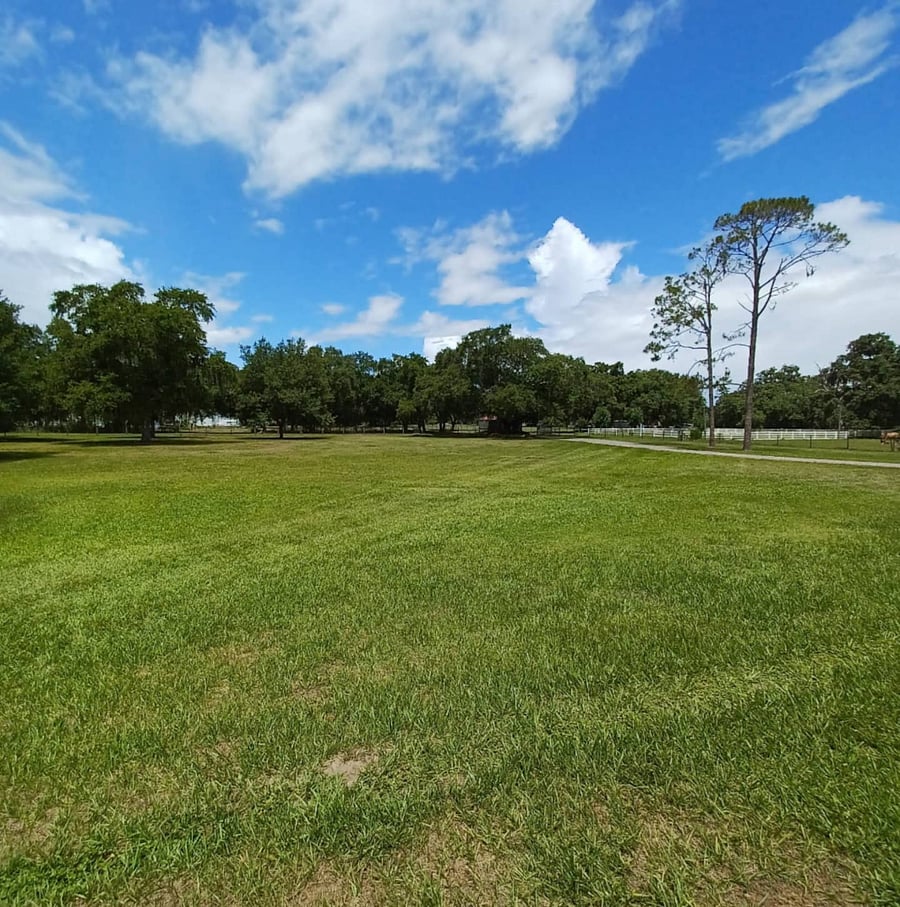 Furnished Finder property 1012472_1 photo 5