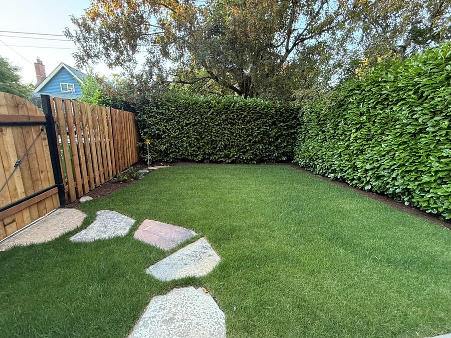 Gated shared backyard