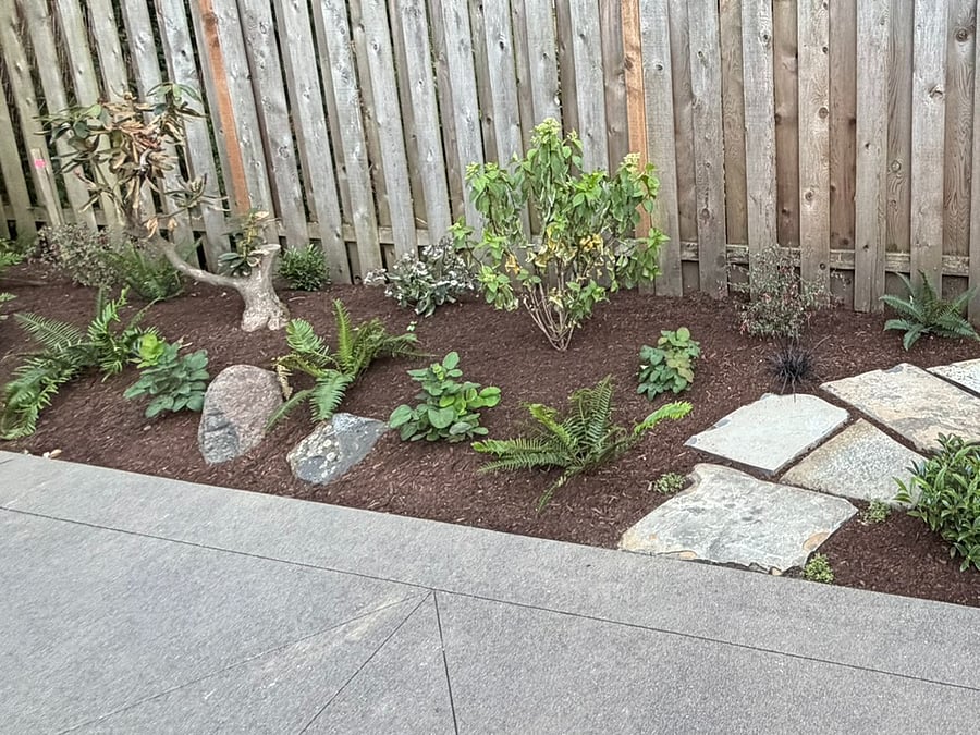 Shared backyard patio