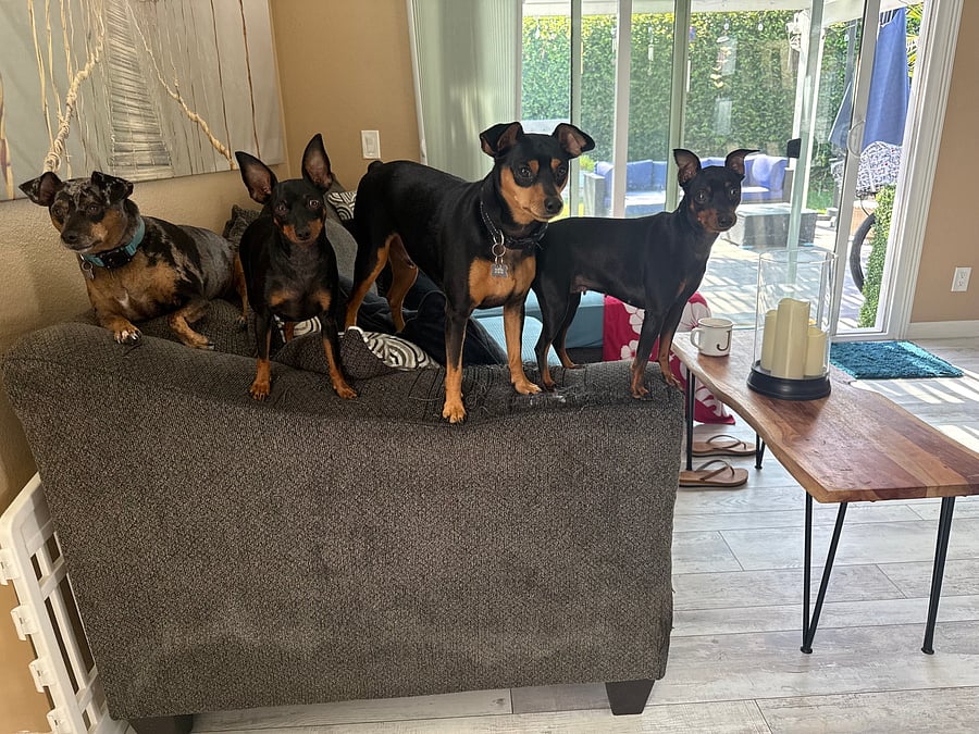 Furnished Finder property 1012493_1 photo 29