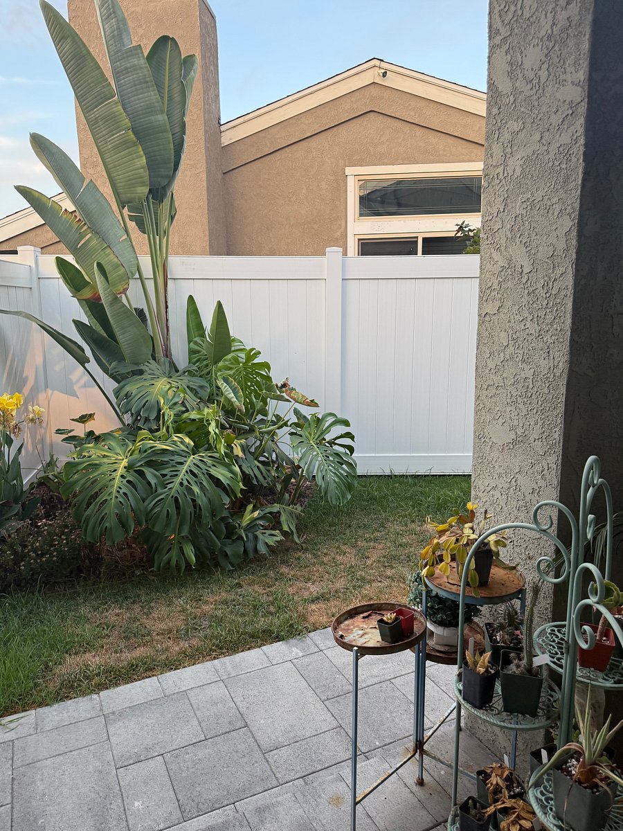 Furnished Finder property 1012493_1 photo 6